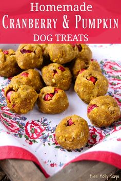 homemade cranberry and pumpkin dog treats on a plate with the title above it