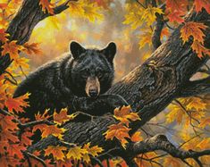 a painting of a black bear resting on a tree branch with autumn leaves in the background