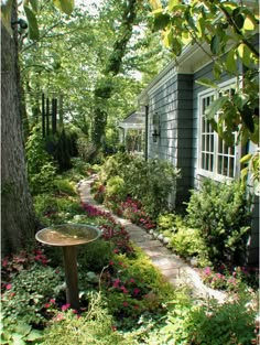 a garden with lots of flowers and plants around it in front of a blue house