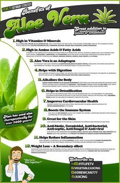 Benefits Of Aloe Vera, Smoothies Vegan, Aloe Vera Benefits, Aloe Vera For Skin, Plant Sterols, Aloe Vera Juice, Forever Living Products, Health Remedies