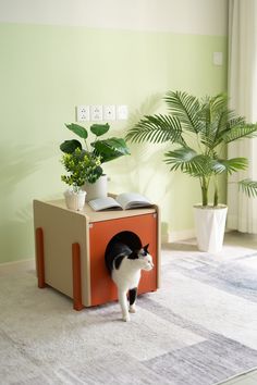 a black and white cat standing in an orange box on the floor next to a potted plant