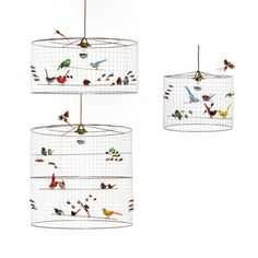 three birdcages hanging from the ceiling with birds in them