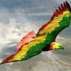 a colorful bird flying through the air with clouds in the backgrounnds