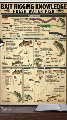 a poster with different types of fish on it's sides and the words, bat rig