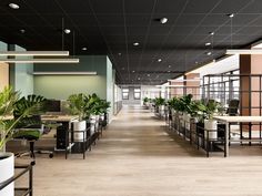 an empty office with desks and plants