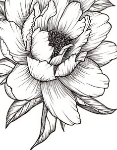 a black and white drawing of a flower