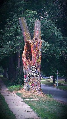 a tree that has been decorated with graffiti