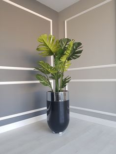 a potted plant in a black vase on a white floor next to a gray wall