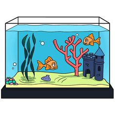 an aquarium with fish and corals in it