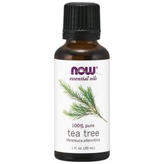 100% Pure. Melaleuca alternifolia. Aroma: Potent, warm, spicy. Benefits: Cleansing, purifying, renewing. Extraction Method: Steam distilled from leaves. Essential Oil Books, Now Essential Oils, Grapefruit Oil, Organic Cleaning Products, Melaleuca Alternifolia, Now Foods, Tea Tree Essential Oil, Whole Foods Market, Whole Foods