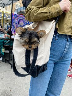 a small dog sitting in a bag on the back of a person's shoulder