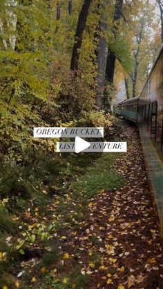 a train traveling through a forest filled with trees covered in fall leaves and autumn foliage