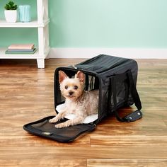 a small dog sitting in an open suitcase