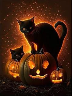 two black cats sitting on top of pumpkins