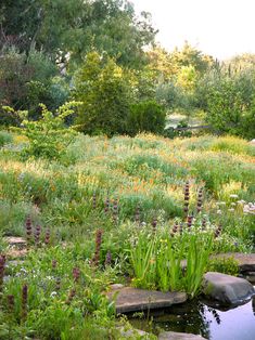 a pond surrounded by rocks and flowers