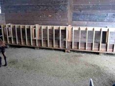 there is a horse that is standing next to some wooden crates on the ground in an enclosed area