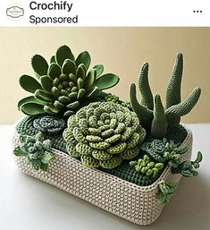 a basket filled with succulents on top of a table