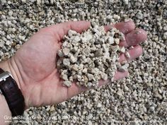 a person holding out their hand full of gravel