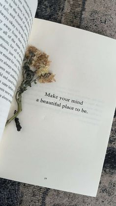 an open book with a dried flower on top of it and the words make your mind a beautiful place to be