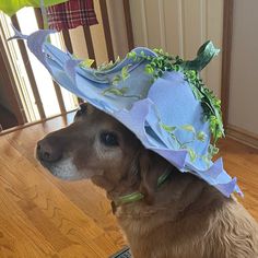 This is a Custom Made-To-Order Flower Petal Hat. It is perfect for cottage core, fairy core, and dressing up for renaissance fairs. It is functional as a hat to keep the sun off your face and neck during the day and made of repurposed hats that I embellish with 'petals' that I craft out of your chosen color of felt. You may choose any color and/or color/combo you desire and I can add embellishments upon request- the default adornments are leaves and flower stems. Examples of other types of adorn Whimsical Bucket Sun Hat, Whimsical Brimmed Costume Hats For Garden Party, Whimsical Hat For Kentucky Derby, Whimsical Brimmed Hat For Garden Party, Whimsical Wide Brim Costume Hat For Garden Party, Whimsical Short Brim Hats For Garden Party, Whimsical Brimmed Sun Hat, Whimsical Wide Brim Hat For Garden Party, Whimsical Wide-brim Hat For Garden Party