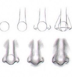 an image of different types of nose shapes