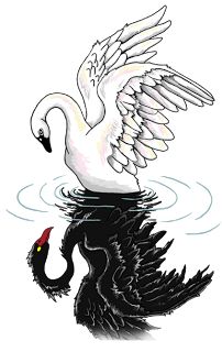 a swan is swimming in the water with its wings spread