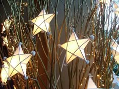 lighted branches with white star decorations on them