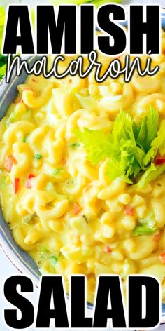 an image of a bowl of food with the words amish macaroni salad