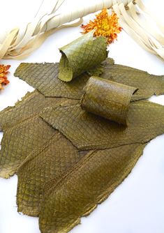 Olive Green Glossy Fish Leather Tilapia Fish, Real Fish, Powder Dye, Different Fish, Fish Skin, Leather Sewing, Leather Skin, Red Fish, Eco Fashion