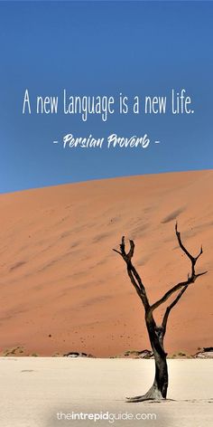 a tree in the middle of a desert with a quote about new language is a new life