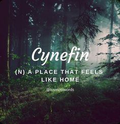 the words cynefin in front of a forest filled with trees and grass