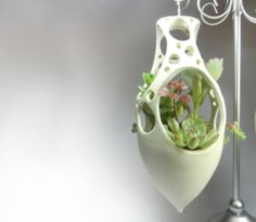 two white vases with plants in them on a table