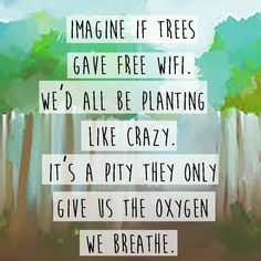 the quote imagine if trees gave free wif we'd all be planting like crazy it's a pity they only give us the oxygen we breathe