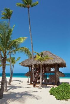 a hut on the beach with palm trees