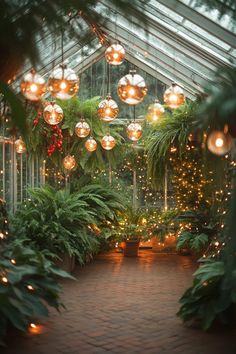 the inside of a greenhouse with lots of plants and lights hanging from it's ceiling