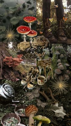 a collage of mushrooms, plants and other things in the woods with trees behind them