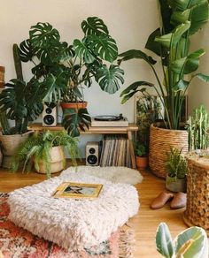 a living room filled with lots of potted plants on top of a wooden floor