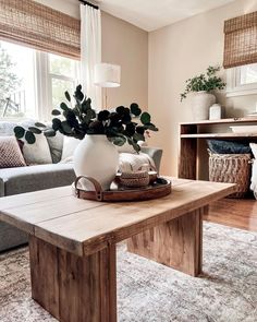 a living room filled with furniture and a large potted plant on top of a wooden table