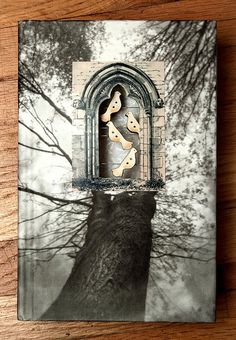 a book sitting on top of a wooden table next to a leafy tree and window