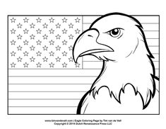 an eagle with the american flag in the background