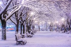 a snowy park with benches and lights in the snow at night, during wintertime