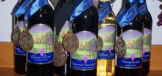 four bottles of wine are lined up on a table with blue ribbon around their necks