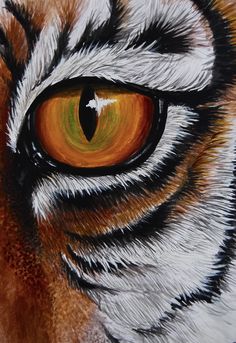 an orange tiger's eye is shown in this painting