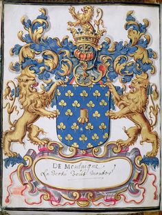 an ornate coat of arms with lions on it