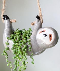 a ceramic slotty planter hanging from a rope with green grapes in the foreground