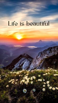 the words life is beautiful on top of a mountain with flowers in the foreground