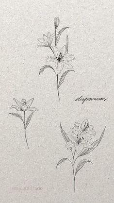 three different types of flowers are shown in this drawing