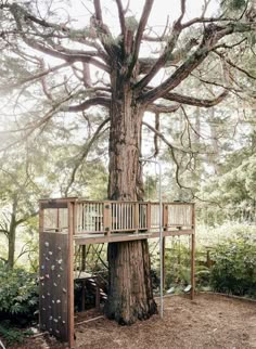 a tree house built into the side of a large tree