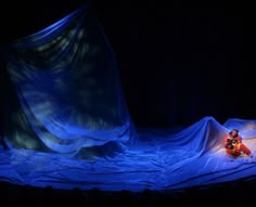 two people sitting on a stage in front of a blue cloth draped over the floor