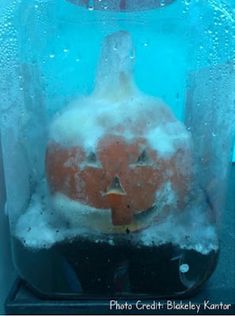 an orange pumpkin in a glass container with ice on the bottom and water around it